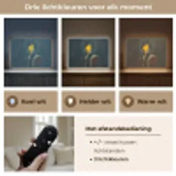 Koning - Portret - Druipende gele verf Light Box met batterij (Wandlamp) middel -USP_lichtkleurNL