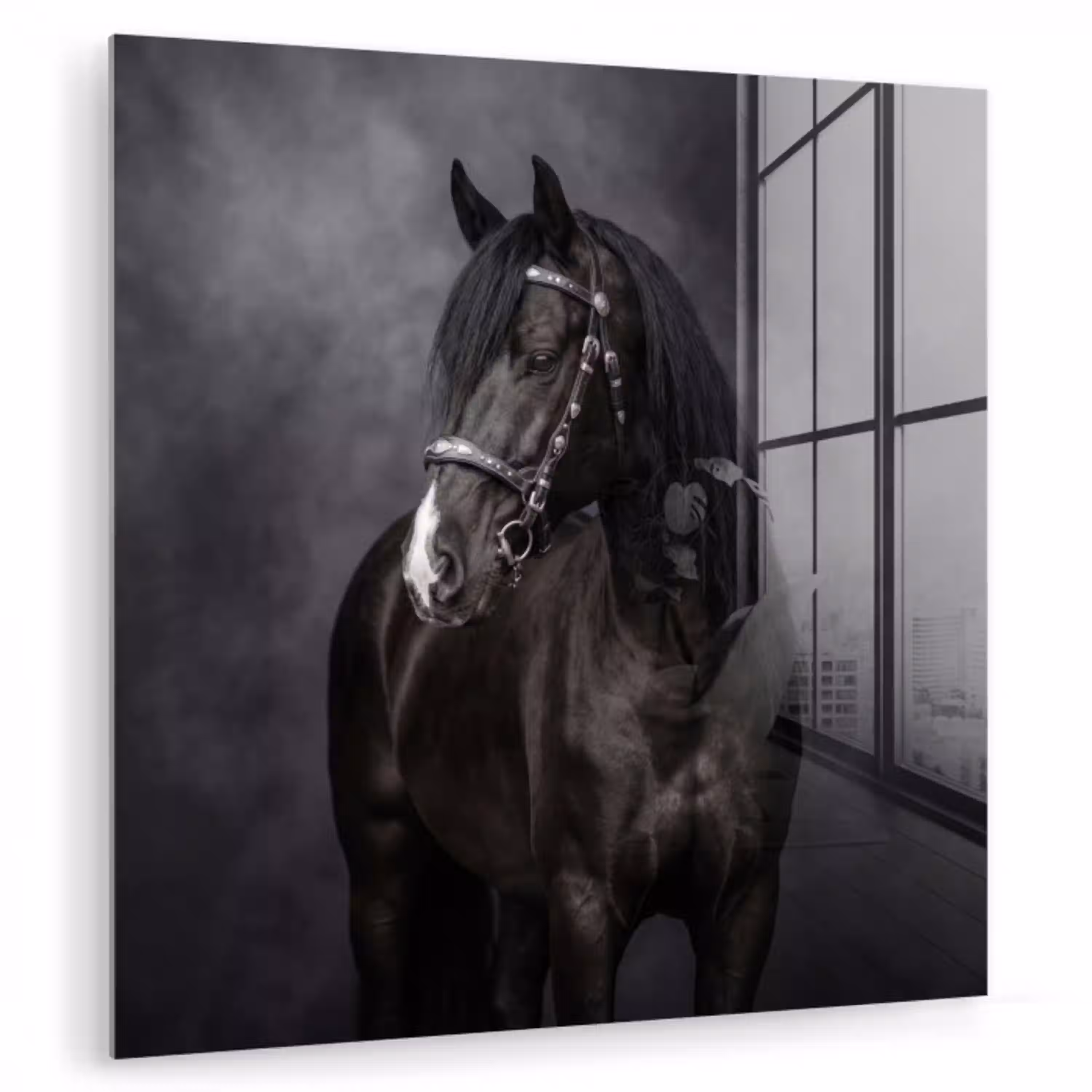 Portret - Paard - Zwart plexiglas 5mm klein -zzzproduct_nieuw