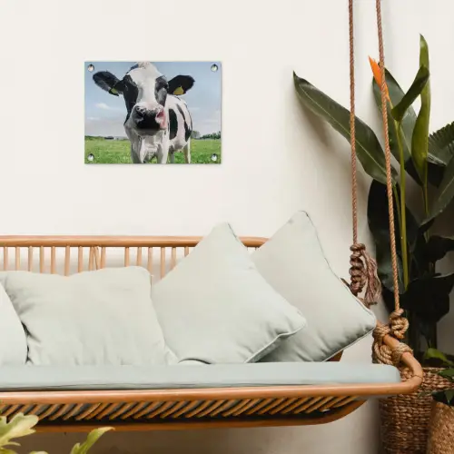 Koeien Close-up tuinposter los doek klein -sfeer7