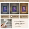 Quote - Neon - Disco - Druiven Light Box met kabel (Tafellamp) klein -USP_lichtkleurNL