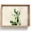 Cactus - Groen - Minimalistisch Dienblad Rechthoek middel -z3d_shopping