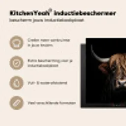 Nachtwacht van de Hooglanden Inductie beschermer vinyl 3mm middel -sfeer2