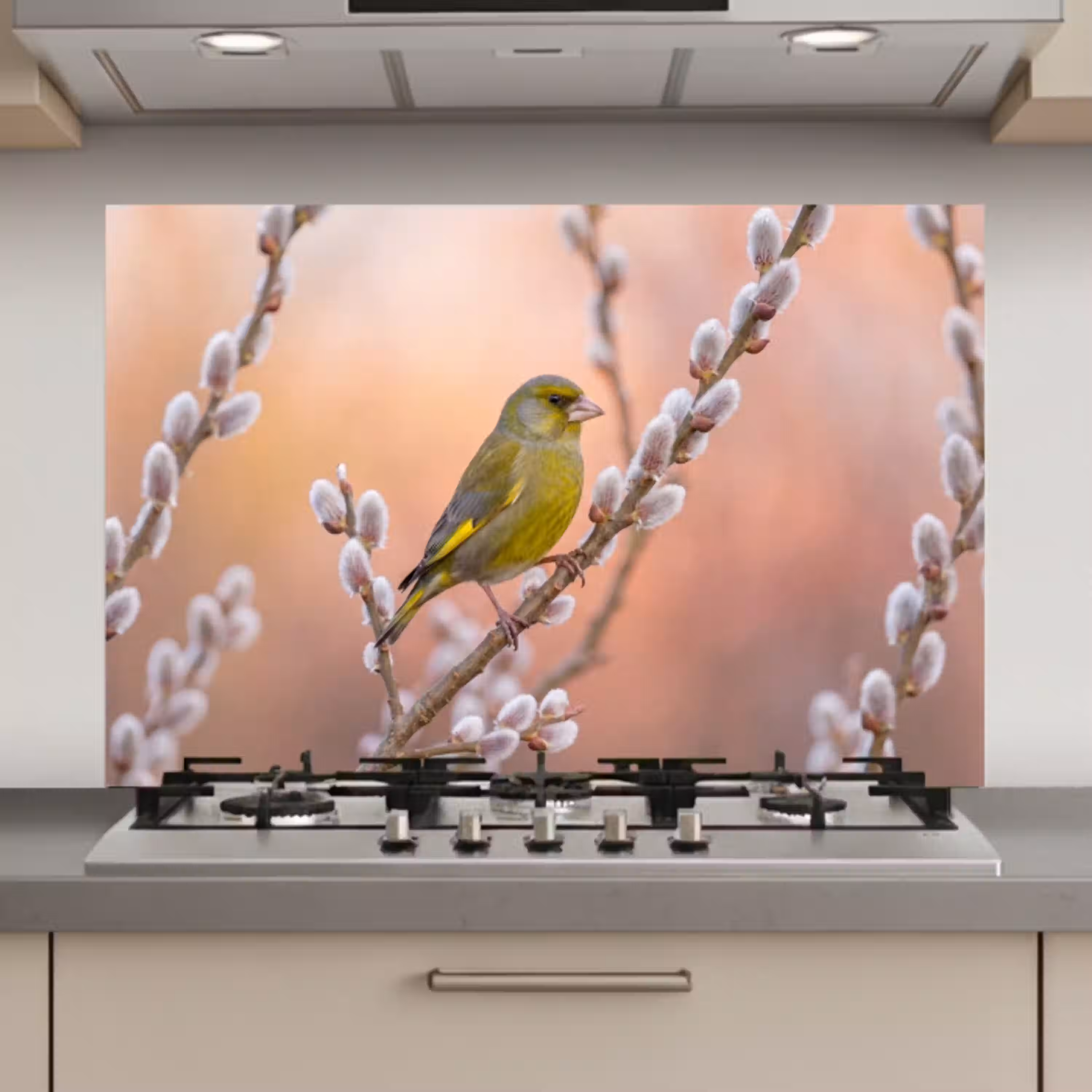 Groenling - Katjes - Lente - Natuur - Zacht keuken achterwand spatscherm klein -3d_website