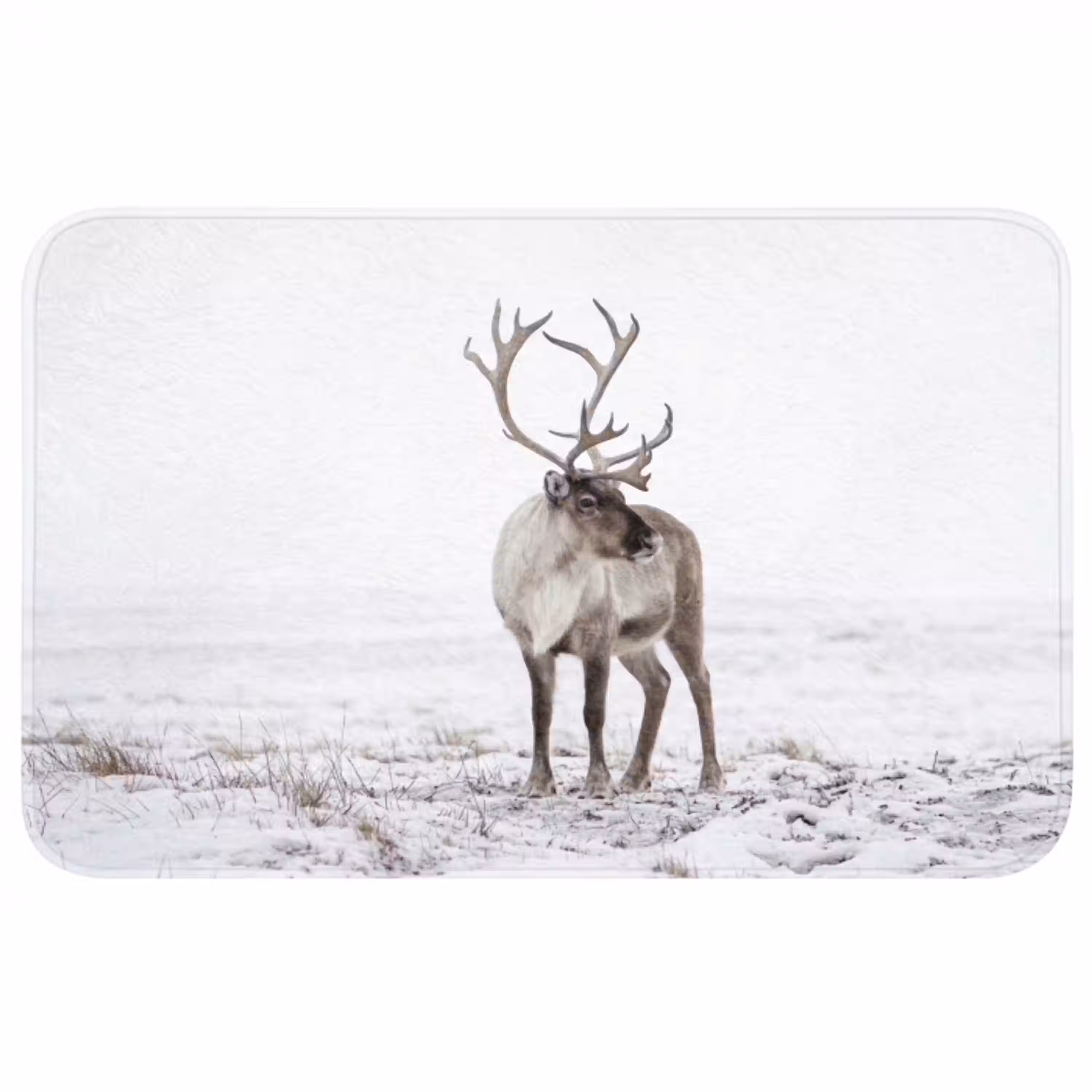 Rendier - Gewei - Sneeuw - Winter Badmat middel -3d