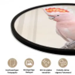 Papagaai - Tak - Roze Fotolijst rond zonder passe partout klein -closeup_DE