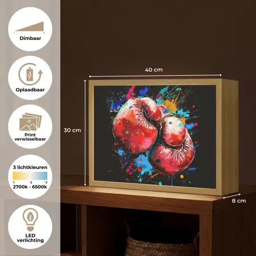Graffiti - Sport - Boksen - Bokshandschoenen Light Box met batterij (Wandlamp) middel -USP_websiteoverzichtNL