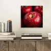 Rood - Appels - Fruit aluminium wit klein -sfeer1