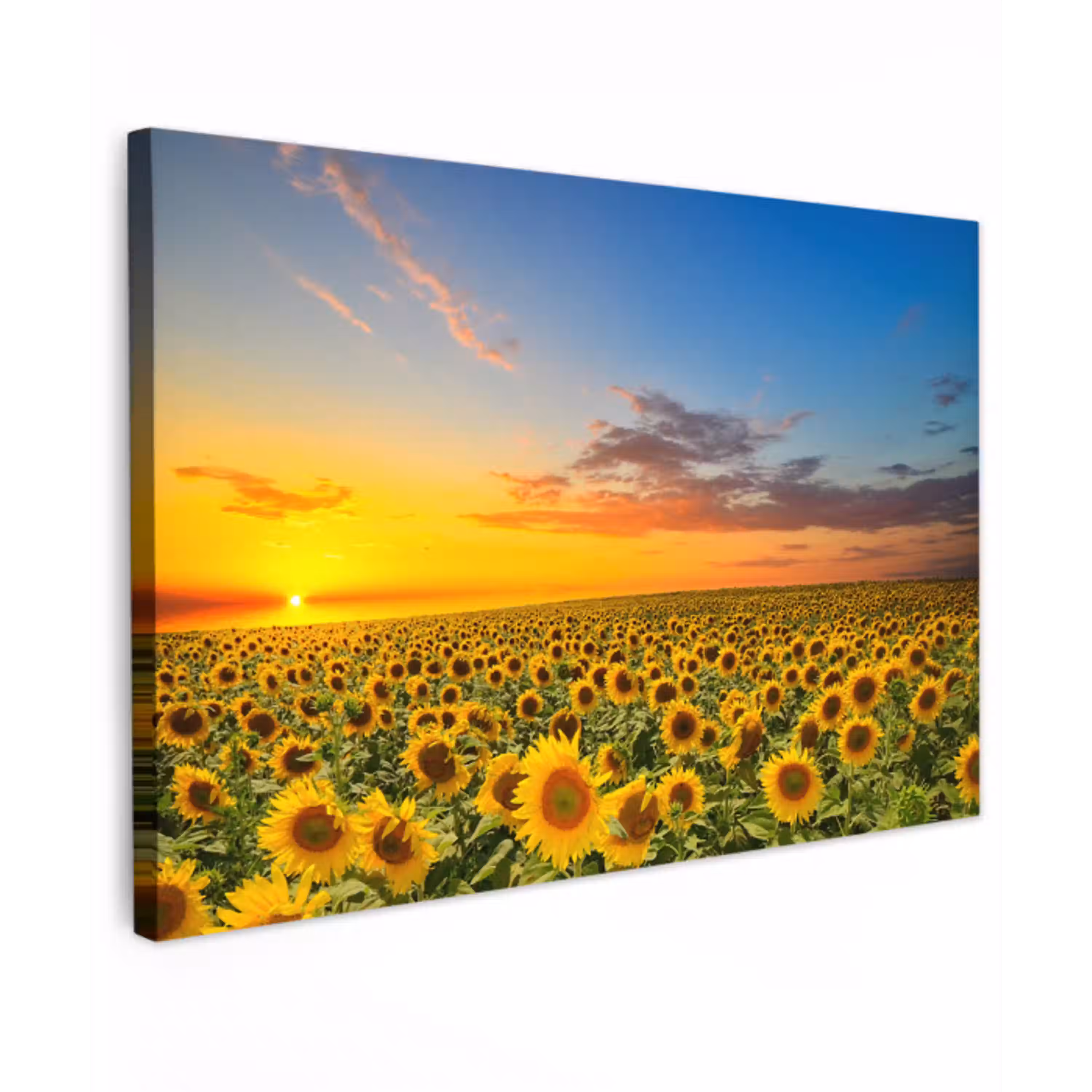 Bloemen - Zonnebloem - Zonsondergang - Nacht - Oranje Tuinposter op houten frame 2 cm dik klein -3d