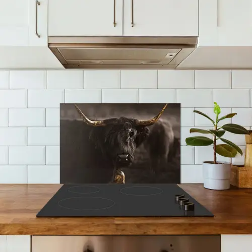 Schotse hooglander - Goud - Koebel - Hoorns - Dieren keuken achterwand spatscherm klein -sfeer2