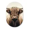 Schotse hooglander - Hoorns - Landschap Wandcirkel Ovaal Forex klein -3d