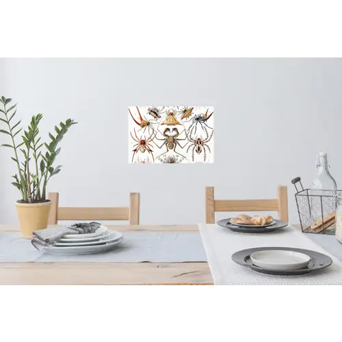 Retro - Ernst Haeckel - Insecten - Tuinposter - Tuin Muursticker klein -eettafel