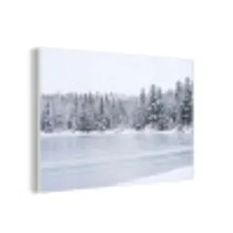 Meer - Dennen - IJs - Winter - Rustgevend forex 5mm xxl -3d