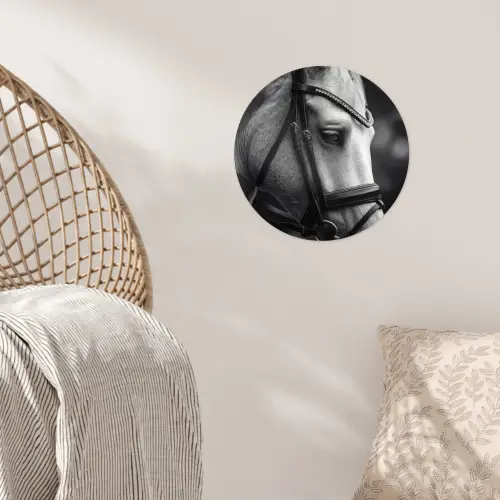 Paard - Schimmel - Portret Wandcirkel behangsticker klein -sfeer4