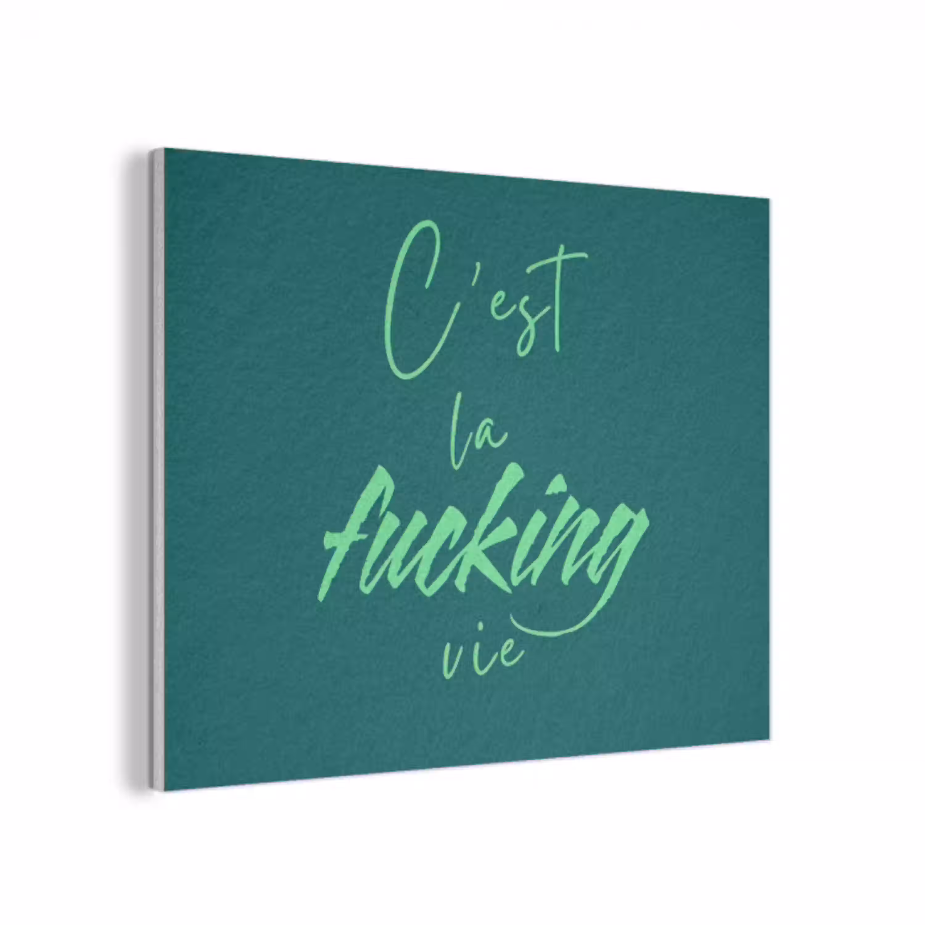 c'est la fucking vie - Groen - Handgeschreven PET vilt klein -3d