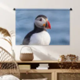 Papegaaiduiker - Portret - Natuur Wandkleed katoen middel -sfeer5