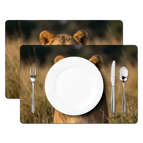 Leeuwin - Gras - Geel Placemat vinyl groot -zzsfeer2_Kitchenyeah-website