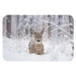 Hert - Sneeuw - Bos - Dieren - Vertederend Badmat klein -3d