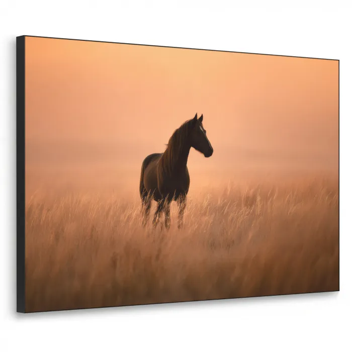 Paard - Grasveld - Zonsondergang Textielframe zwart klein -3d