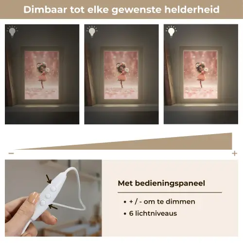 Bloemenfee - Roze - Meisje Light Box met kabel klein -USP_dimbaarNL