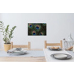 Pauwenveren - Klassiek - Groen Muursticker klein -eettafel