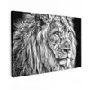 Portret - Leeuw - Zwart wit canvas 2cm klein -z3d
