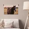Paard - Zonsondergang - Bruin Wandkleed katoen klein -sfeer4