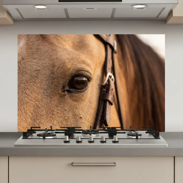 Paard - Oog - Bruin keuken achterwand spatscherm klein -3d_website
