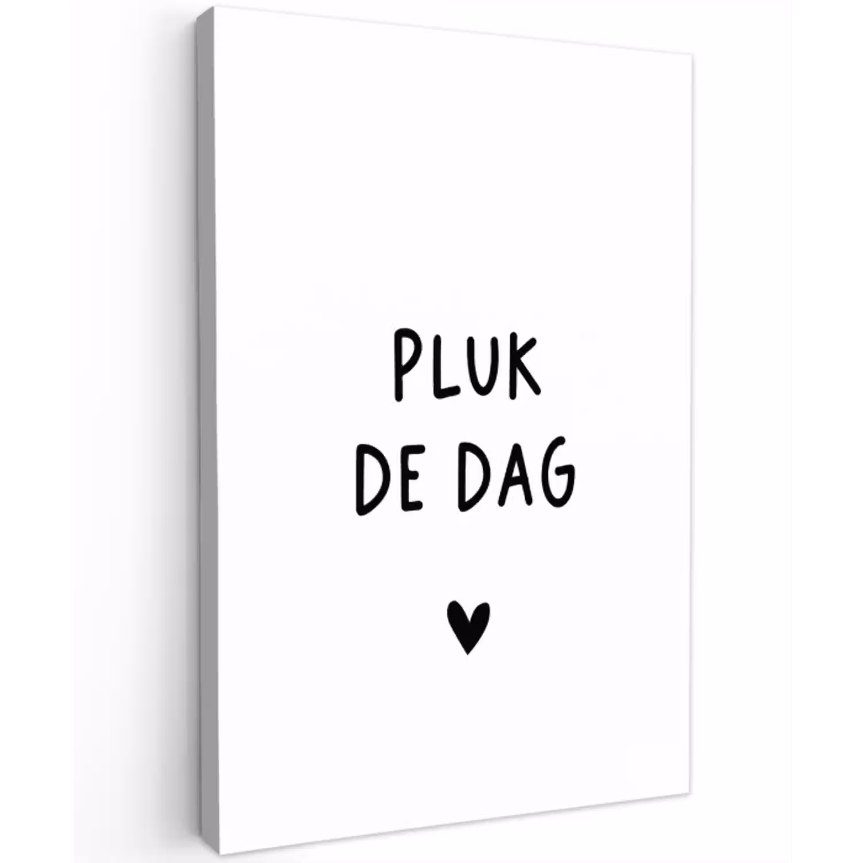 Spreuken - Pluk de dag - Quotes - Carpe diem Tuinposter op houten frame 2 cm dik klein -3d