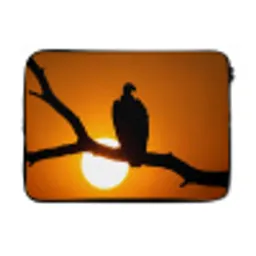 Gier - Tak - Zon - Oranje laptophoes neopreen klein -3d