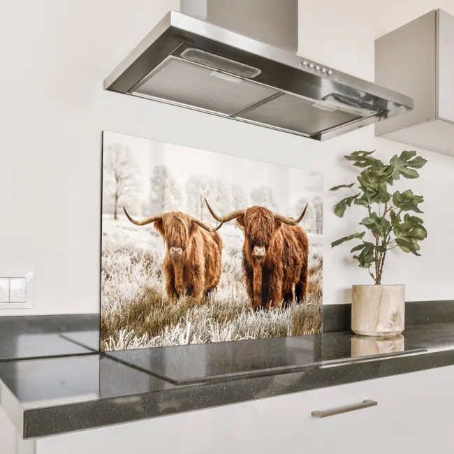 Spatscherm Aluminium - Vorstelijk Duo