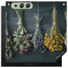 Droogbloemen - Bloemen - Boeket - Stilleven - Touw - Bundel Inductie beschemer met haakjes middel -3d
