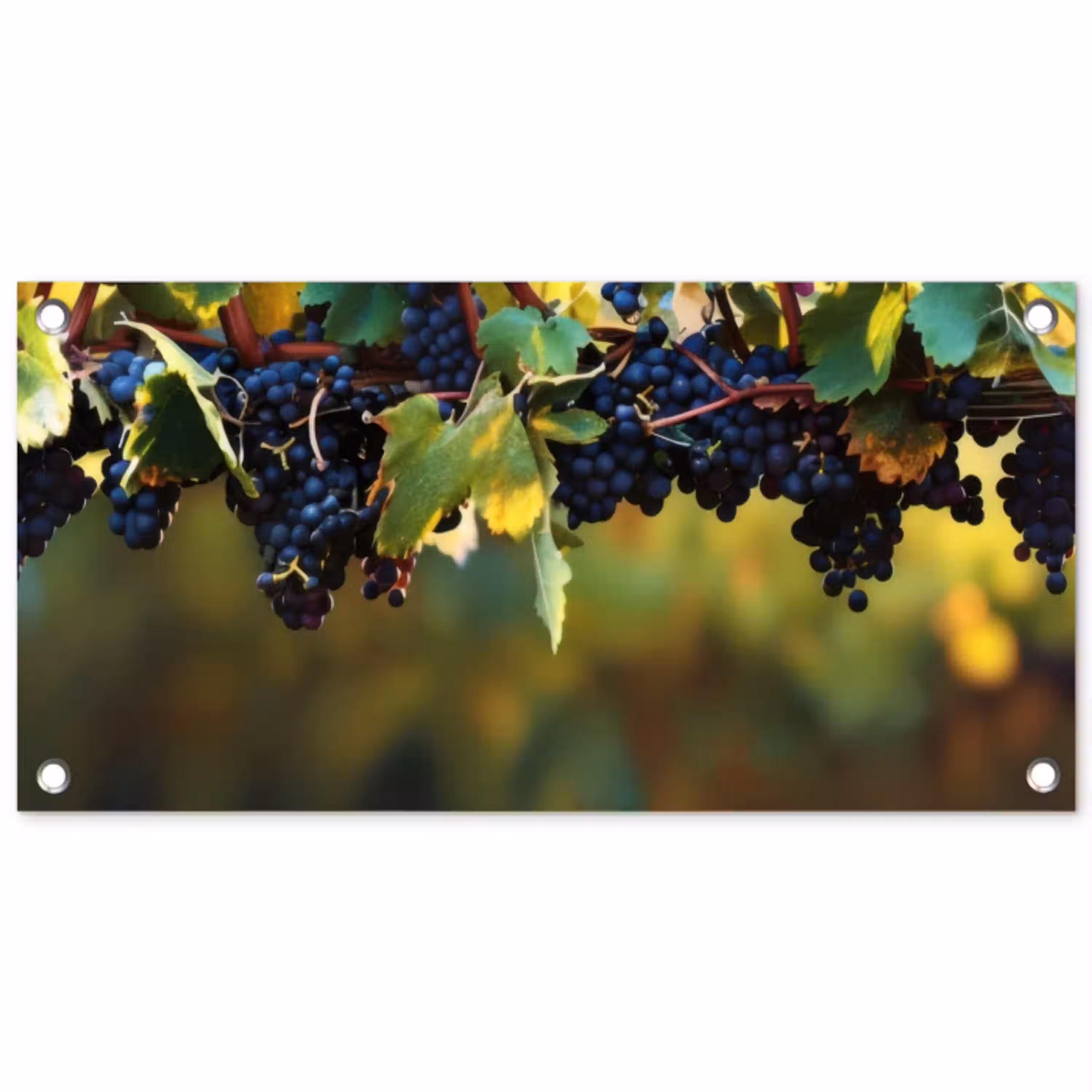 Druiven - Wijn - Natuur - Groen tuinposter los doek klein -3d