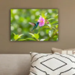 Kolibrie - Bloem - Natuur - Groen canvas 2cm klein -sfeer3