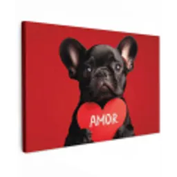 Amor - Hond  - Hartje - Rood canvas 2cm klein -z3d