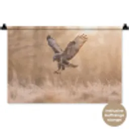 Buizerd - Roofvogel - Natuur - Bruin Wandkleed katoen klein -t3d_DE