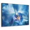 Blauw - Orchidee - Elegeant Textielframe - compleet frame klein -3d