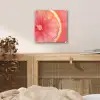 Grapefruit - Roze - Levendig plexiglas 5mm klein -sfeer4
