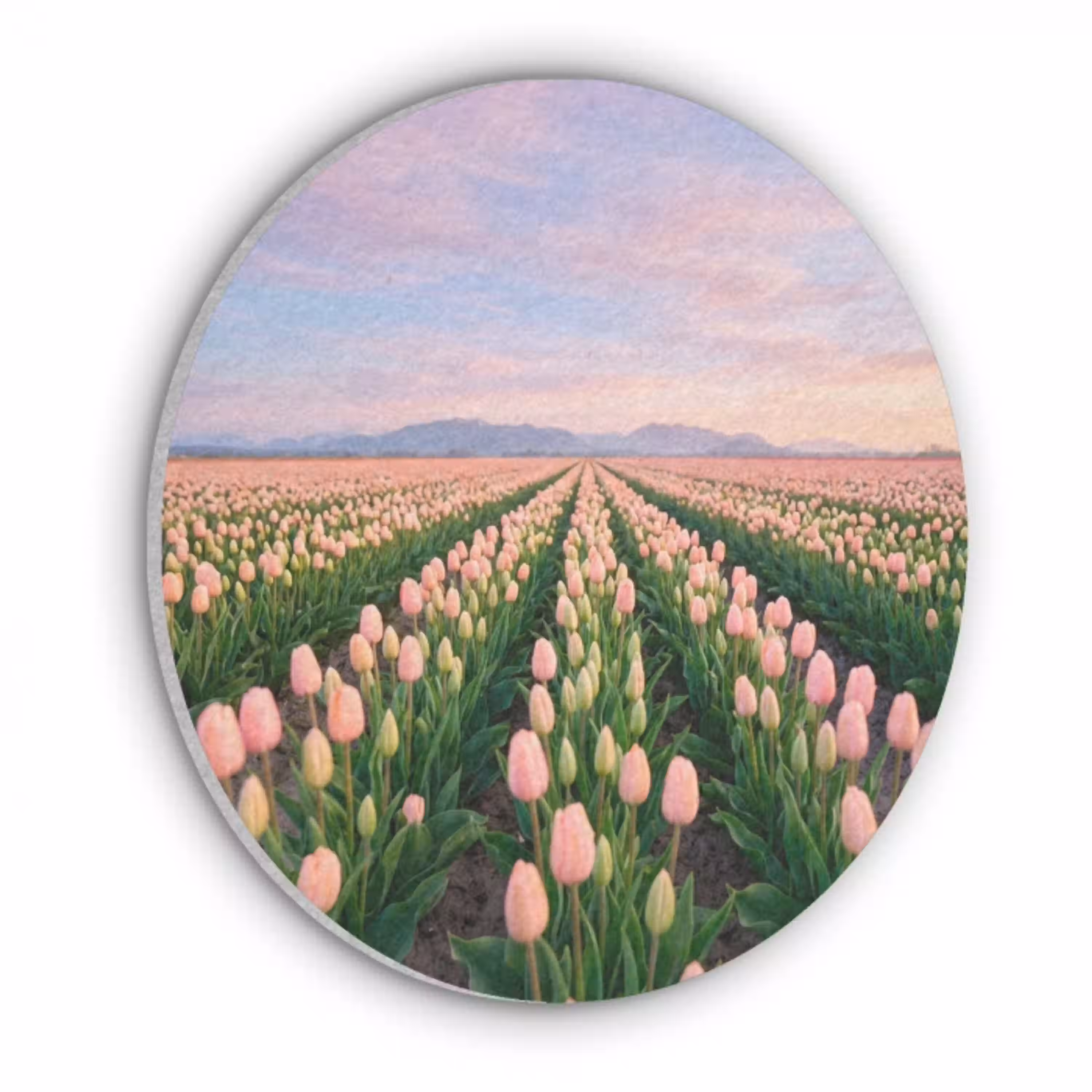 Tulpen - Landschap - Roze Akoestische PET Vilt - Rond klein -3d