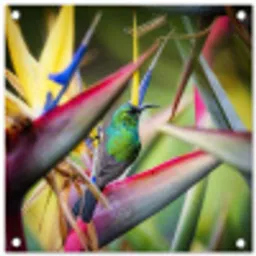 Kleurrijke vogel tussen allemaal kleurrijke platen tuinposter los doek klein -3d