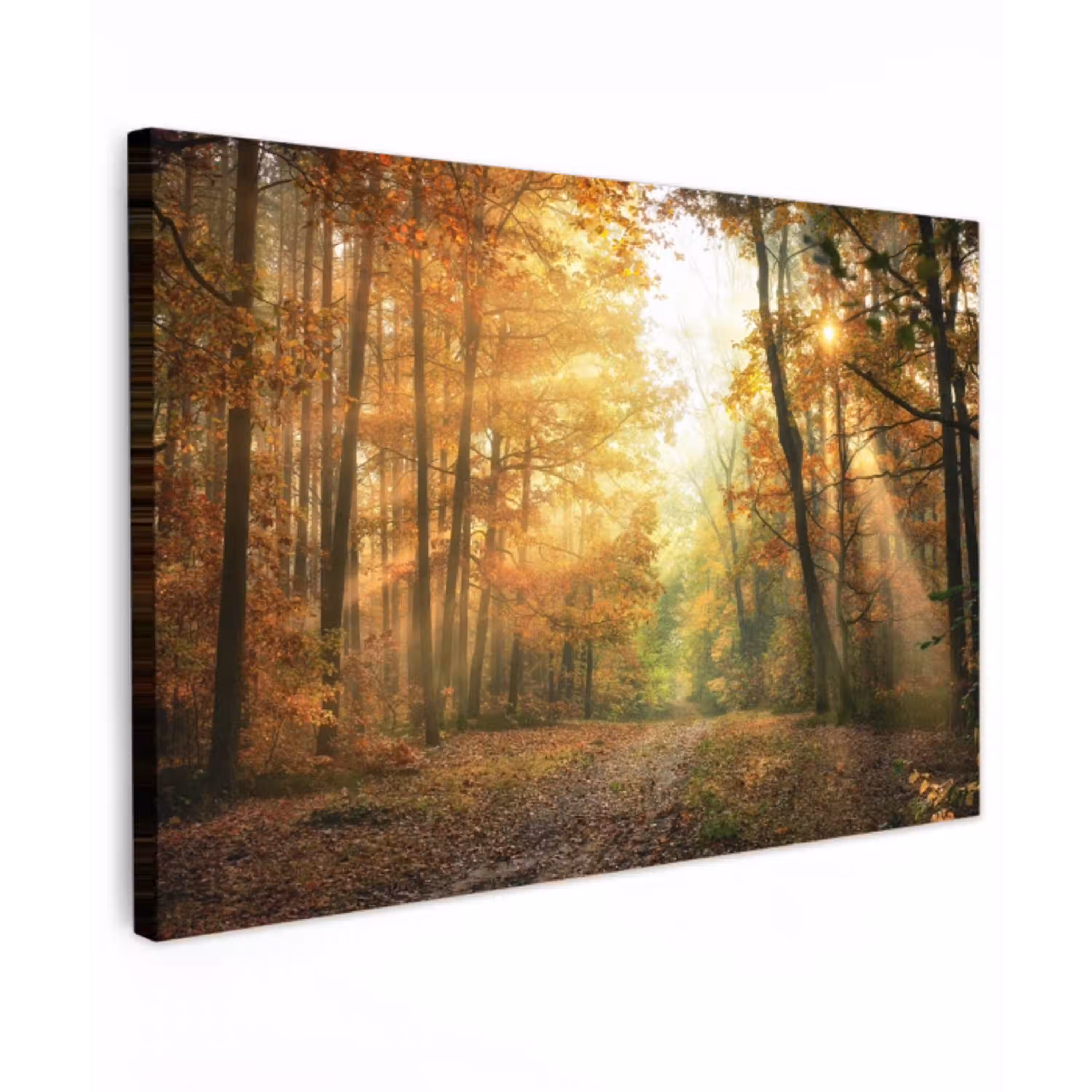 Herfstbos in gouden zonlicht Tuinposter op houten frame 2 cm dik klein -3d