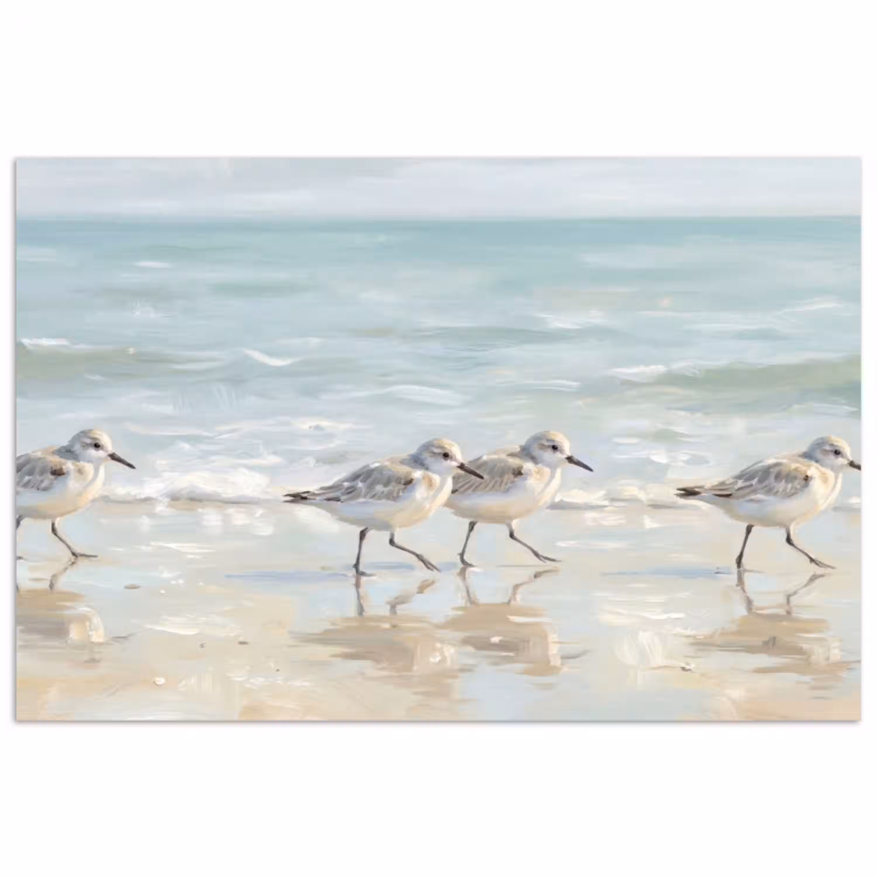 Vogels - Strand - Zee poster papier klein -3d