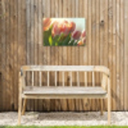 Tulpen - Roze - Zonnestralen Tuinposter op houten frame 2 cm dik klein -sfeer4
