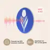 Tulp - Minimalistisch - Bladeren - Wit Akoestische PET Vilt - Rond klein -USP_NL