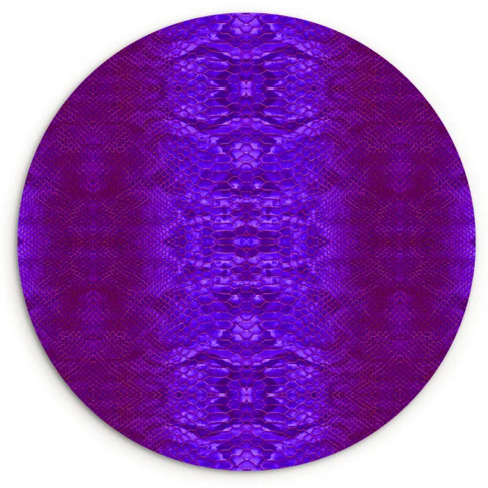 Slang - Boa - Paars Wandcirkel plexiglas klein 852 -3d