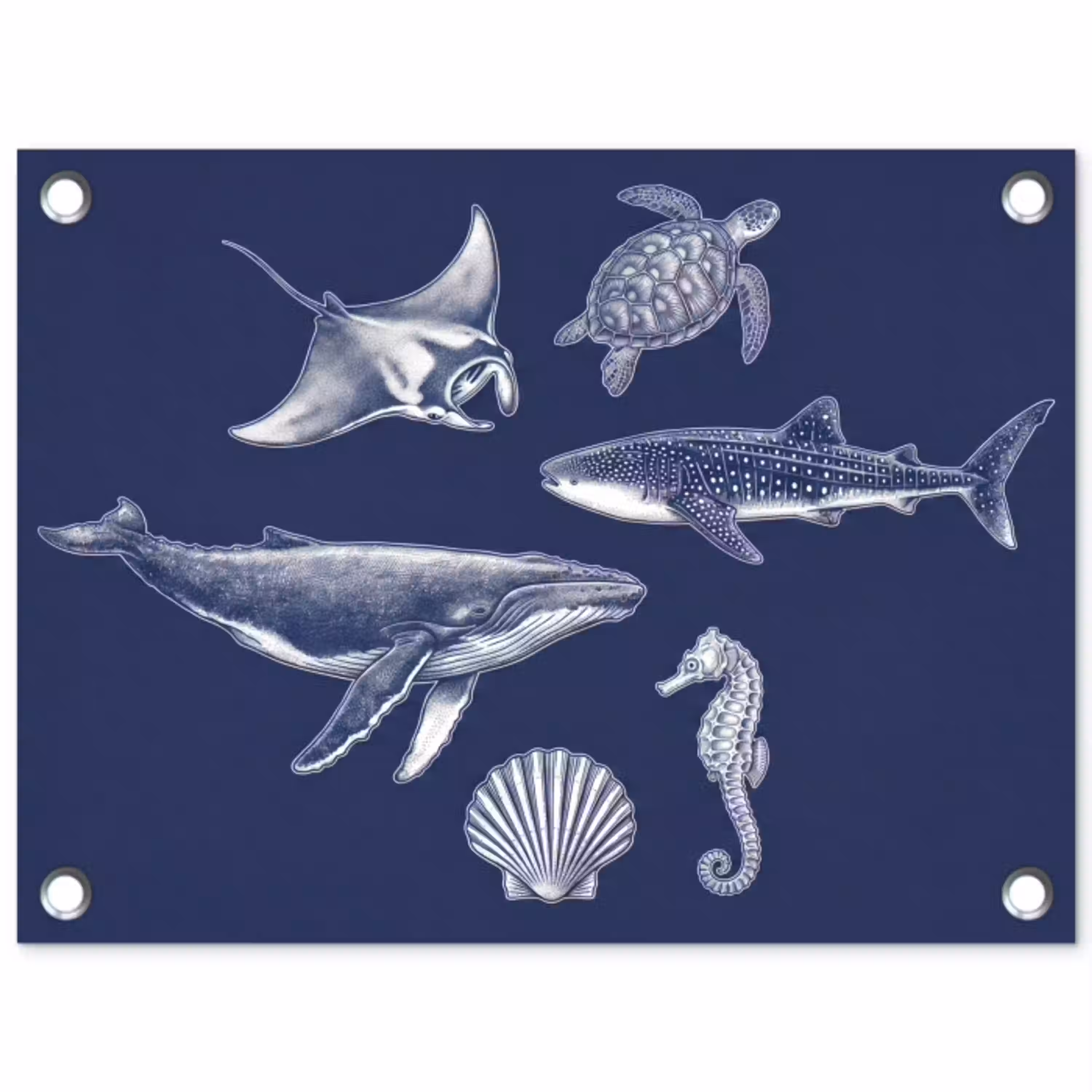 Dieren - Zeeleven - Oceaan - Graveren - Blauw tuinposter los doek klein -3d