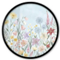 Weidebloemen - Illustratie - Kleurrijk Fotolijst rond zonder passe partout klein -3d