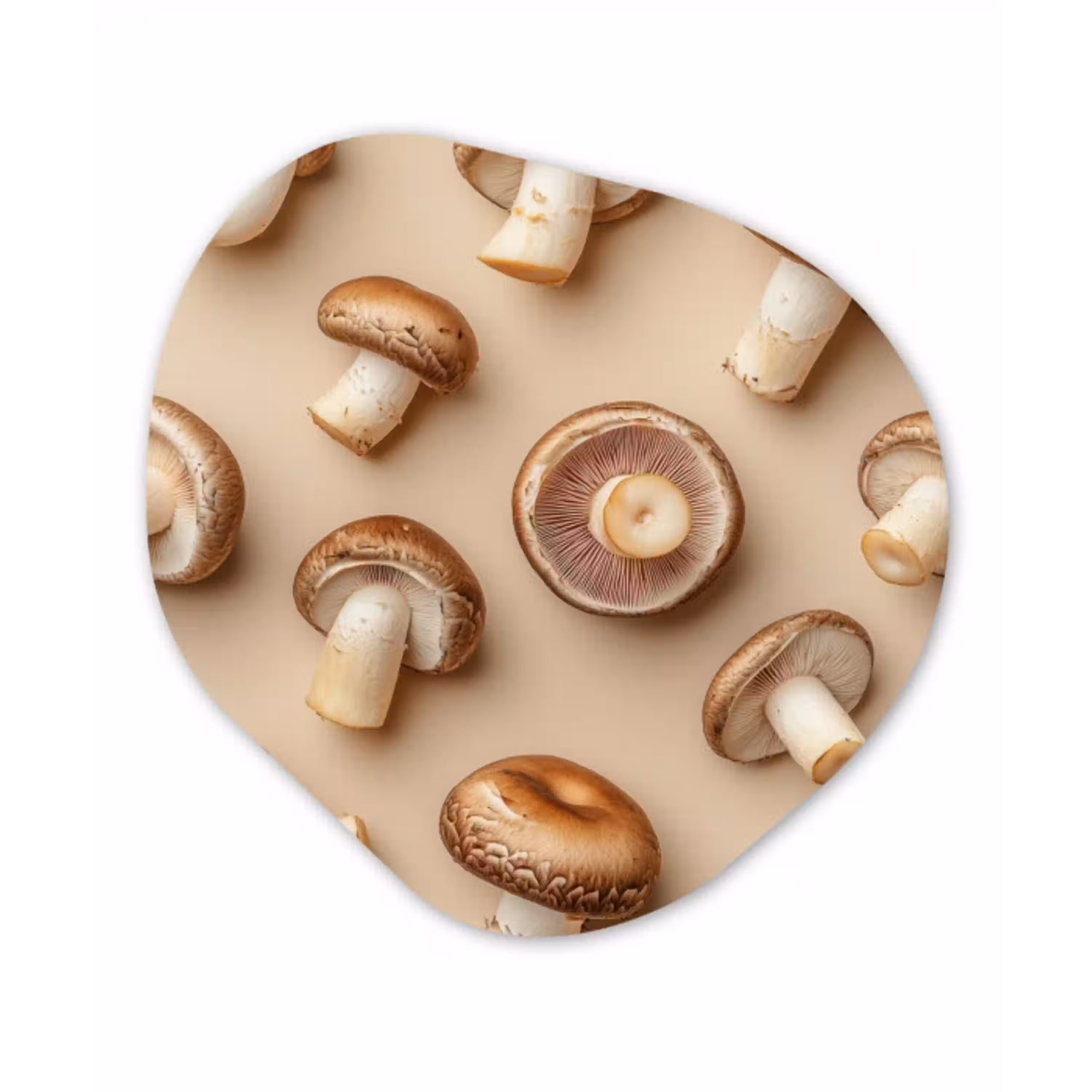 Kastanje Champignons - Beige Wandcirkel Organisch Aluminium middel -3d