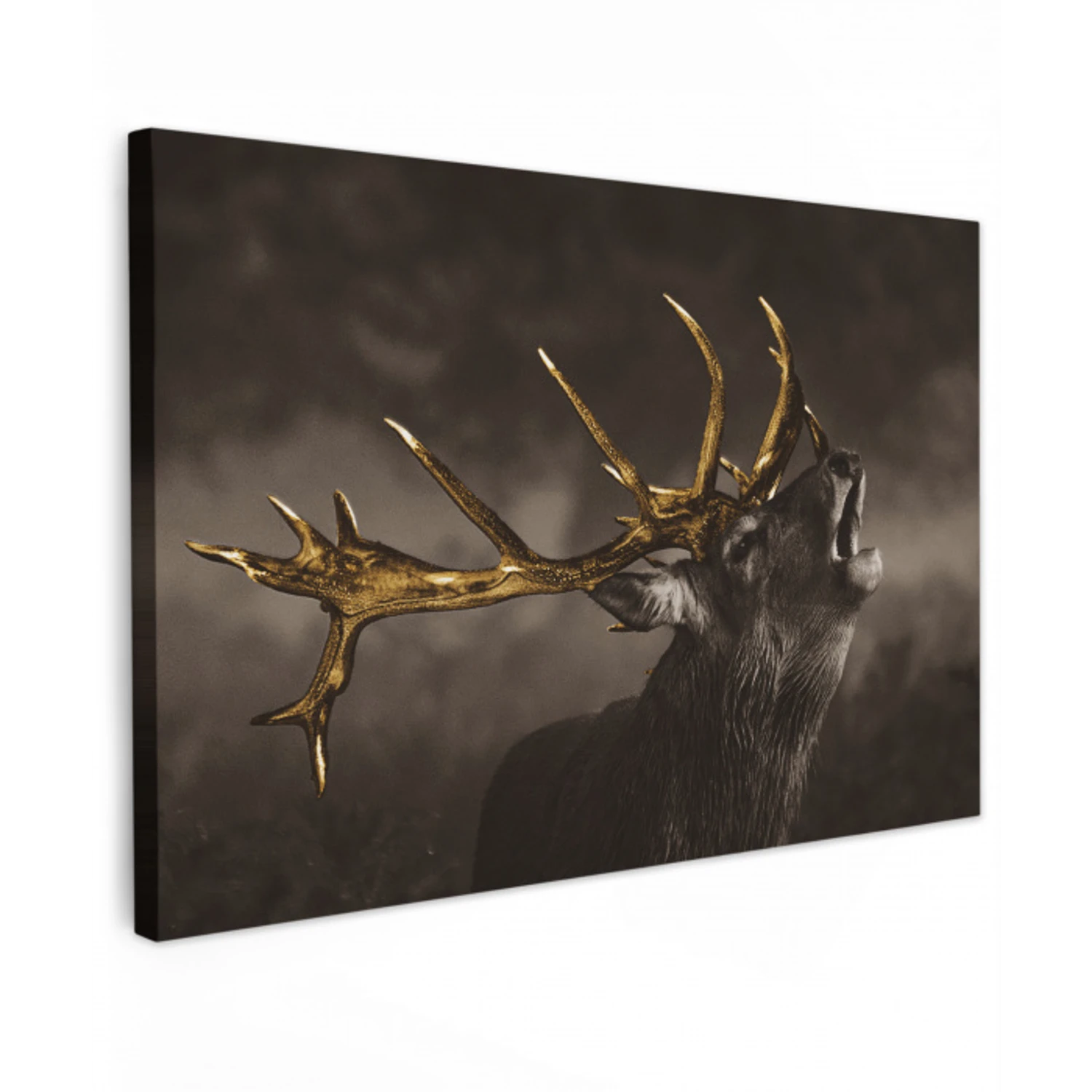 Hert - Black - Gold canvas 2cm klein -z3d