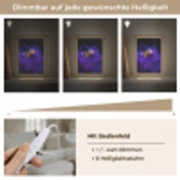 Koraal - Vis - Oranje - Zee Light Box met kabel (Tafellamp) klein -USP_dimbaarDE