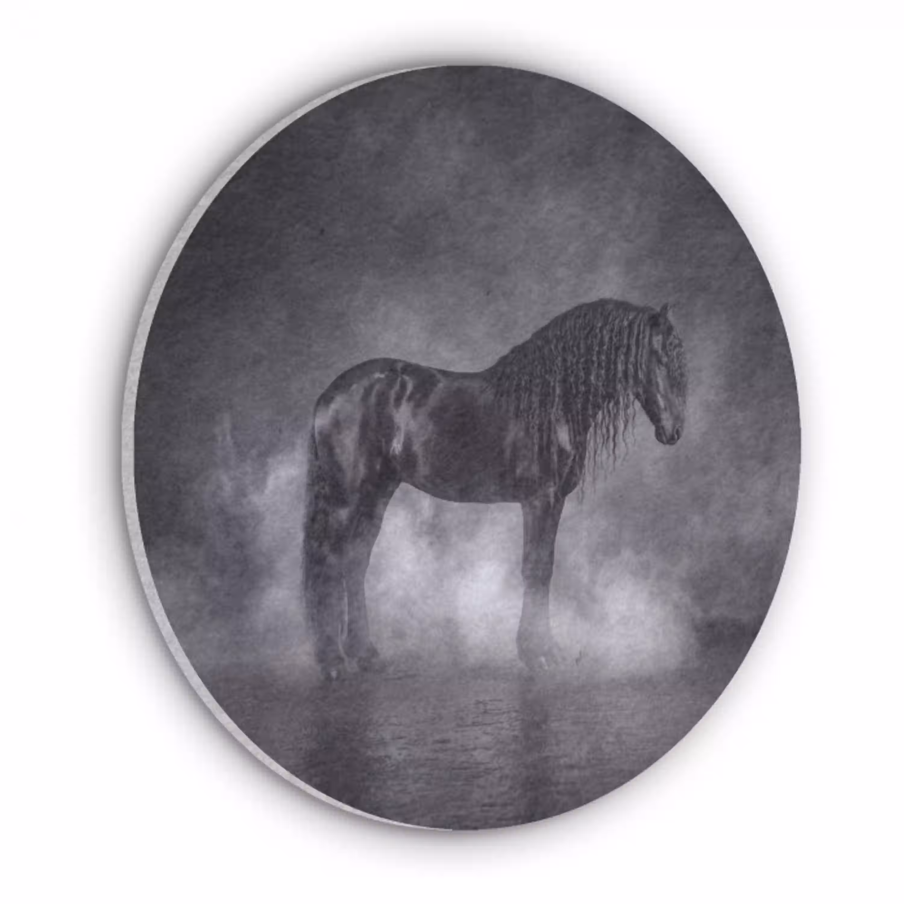 Paard - Magisch - Zwart Akoestische PET Vilt - Rond klein -3d